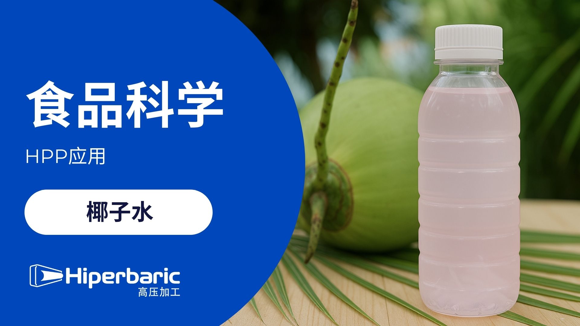 创新性非热技术组合应用-延长椰子水保质期